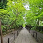【京都】新緑に包まれた乙訓エリアの長岡天満宮や光明寺を散策