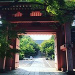【京都俳句めぐり】青もみじ＆花手水彩る境内☆夏を伝える松尾芭蕉弟子の句碑「真如堂」