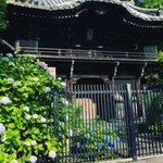 【京都花めぐり】洛東ぶらり☆南禅寺の梔子＆夏椿～野村碧雲荘の花菖蒲～金地院の紫陽花