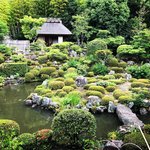 【京都花めぐり】話題アニメ映画にも登場の穴場☆庭園を彩る半夏生＆梔子「等持院」