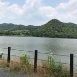 【京都俳句めぐり】『奥の細道』で知られる俳人・松尾芭蕉の詠んだ古の観月池「広沢池」