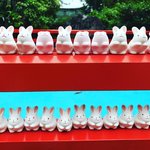 【2022京都夏越の祓】うさぎ満載の境内で厄除け祈願の茅の輪くぐり「岡崎神社」