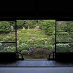 【初夏の特別公開】初夏の清々しい庭園が魅力「建仁寺塔頭 両足院」【京都庭園めぐり】
