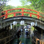 【京都 夏の風物詩】冷たい御手洗池でクールダウン♪無病息災を祈願「下鴨神社 みたらし祭」