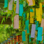 【京の涼さがし】京都の奥座敷『貴船神社』で涼しい夏景色が楽しめます！