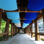 【京の涼さがし】涼しげなイベントが話題♪ 紅葉の名所『東福寺』の夏景色