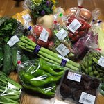 【京都産直市場】旬の夏野菜をもりもり食べたい☆ファーマーズマーケット「たわわ朝霧」