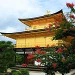【京都花めぐり】煌びやかな舎利殿が更に華やかに「金閣寺」晩夏の風景【世界遺産】