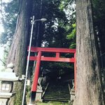 【京都秘境】鴨川源流・都の水源地を守る神社「嚴島神社 (天津石門別稚姫神社)」