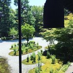 【京都秋の花】『源氏物語』執筆地の桔梗庭園☆ブラタモリ注目の豊臣秀吉史跡も「廬山寺」