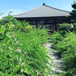 【京都秋の花】穴場！鴨川デルタすぐの知る人ぞ知る『萩の寺』☆勝海舟の宿坊「常林寺」