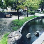 【京都今昔めぐり】代々続く清水焼の名跡『清水六兵衛』別荘池が公園に「六兵ヱ池公園」