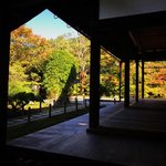 【2022京都紅葉】JR東海『そうだ京都、行こう。』の錦秋絶景庭園☆「南禅寺天授庵」