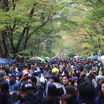 ３年ぶり！下鴨神社・糺の森で大イベント「糺の森ワンダーマーケット」10/30（日）開催！