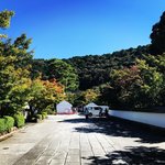 【2022京都紅葉最新】さくっとパトロール☆南禅寺～天授庵～永観堂～安楽寺～銀閣寺