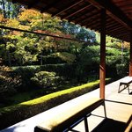 【2022京都紅葉最新】錦秋と苔の茶人好み庭園でお抹茶も楽しめる☆妙心寺塔頭「桂春院」