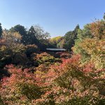 色づき始めが狙い目！通天橋から望む絶景の紅葉『東福寺』