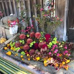 【2022京都紅葉】御土居もみじ苑ライトアップ直前☆花手水も秋の装い「北野天満宮」