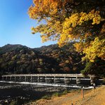 【2022京都紅葉】京都随一の観光スポット『嵐山渡月橋』は混雑を避けて朝パトロール☆