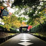 【2022京都紅葉】南禅寺の人気スポット水路閣の奥にある隠れた名所「最勝院高徳庵」
