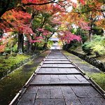 【2022京都紅葉】山科の紅葉名所☆ワンチャン狙いで名物石段の濡れ紅葉「毘沙門堂」