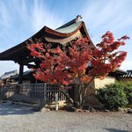 まさに別世界！紅葉真っ盛り錦秋の「嵯峨野と嵐山」を歩く【2022】