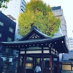 【2022京都紅葉】河原町ビル群裏の穴場イチョウ見頃☆日本史の転換点的お寺「本能寺」