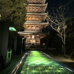 【京都イベント】名残の紅葉と雅やかな光に癒される 「NAKED GARDEN ONE KYOTO 仁和寺」12/18迄開催
