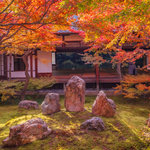 【京都紅葉2022】京都紅葉のフィナーレを飾る潮音庭の紅葉「建仁寺」【祇園】