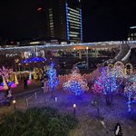 【京都長岡京市】師走の風景が戻る！JR駅前にはイルミネーションも！マルシェに商店街グルメが集結！