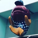 【京都癒し】『マツコの知らない世界』でも紹介された妖怪ストリートの名店「京都魚苑」