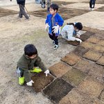 【京都長岡京】春よ来い！商店街コミュニティー広場に子供たちが協力して芝生を植えたよ
