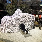【2023京都桜】通称『縁切り神社』は行列必至☆参道の桜はまだつぼみ「安井金比羅宮」