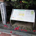 【京都史跡】豊臣秀吉の築造『御土居』＆NHK大河ドラマでも注目『山本覚馬・八重邸宅』