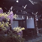 【2023京都の花】由緒正しい藤が咲き始め☆4月29日『藤花祭』開催「西院春日神社」