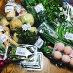 【京都市場】春の味覚満載！GW中のBBQで活用したい京都最大級直売所「たわわ朝霧」