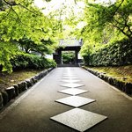 【2023京都新緑】南禅寺・水路閣奥にある知る人ぞ知る青もみじ名所「最勝院高徳庵」