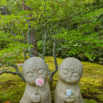 【特別拝観】美しい襖絵と庭園に魅了されます「妙心寺大雄院」
