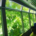 【京都ローカル鉄道】GWの貴船鞍馬へは『叡電』の今が絶景青もみじトンネルで小旅行☆