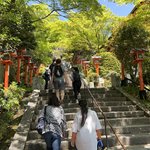 【2023京都新緑】森羅万象パワーあふれる最強スポット☆天狗の郷をトレッキング「鞍馬寺」