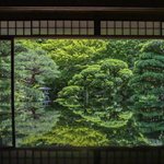 【特別公開】新緑が美しい緑の庭園。文化財と癒しの庭園が魅力「旧邸御室 深緑の薫」