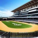【京都競馬場】グランドオープンに東京スカパラも登場！ココが新しくなってますます充実☆