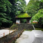 【2023京都の緑】苔と青もみじ潤う梅雨シーズンこそ行きたい静寂のお寺☆鹿ケ谷「法然院」