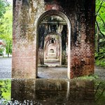 【2023京都青もみじ】梅雨に潤う人気スポットをぶらり☆南禅寺～永観堂～安楽寺～哲学の道