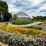 【まとめ】京都オススメの植物園☆日本初の公立施設～マニアック薬用園まで【厳選４施設】
