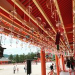 【2023京都夏越の祓】大鳥居望む『茅の輪くぐり』＆七夕風鈴まつり開催中「平安神宮」