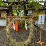 【茅の輪くぐり2023】珍しい子供用の茅の輪も　美しい花手水も魅力「紫野 今宮神社」
