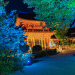 【京都イベント】貴重な夜間拝観で夕涼み♪「NAKED夕涼み2023 世界遺産・上賀茂神社」