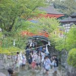 【夏の風物詩】つめた～い御手洗池で足つけ神事「下鴨神社 みたらし祭」【世界遺産】