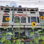【京都長岡京】ひまわり咲き始めた商店街内のコミュニティー広場で夏市が大盛況でした！